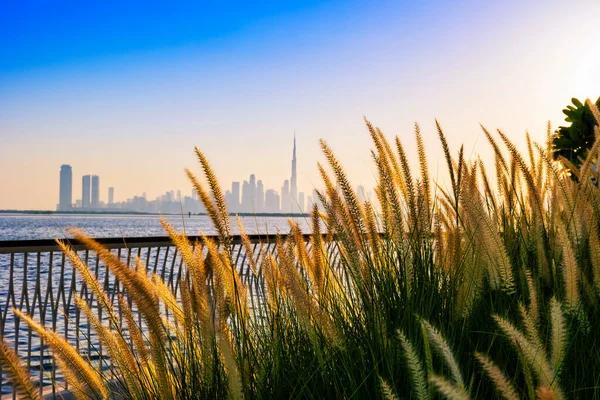 Dubai Stad Skyline Bij Schemering Avond Een Prachtig Uitzicht Vanaf — Stockfoto