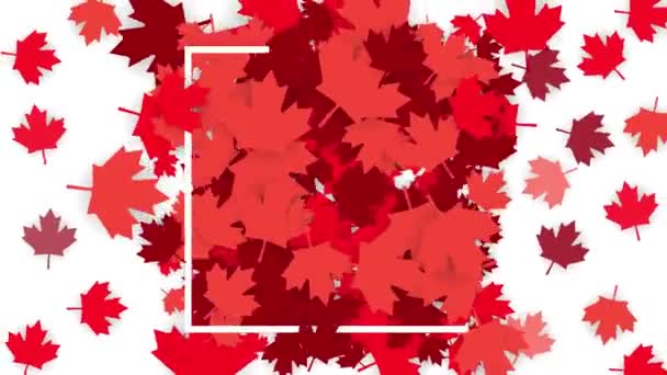 Happy Canada Day Animazione Auguri Con Foglia Acero Rossa Luglio — Video Stock