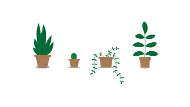 Ev planları çömleklerde.