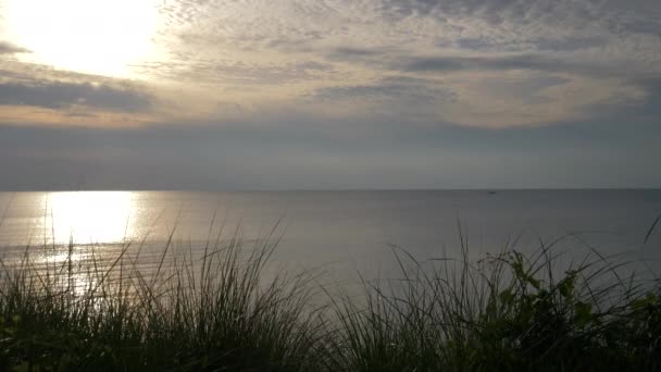 Λίμνη Sunset Grass View — Αρχείο Βίντεο