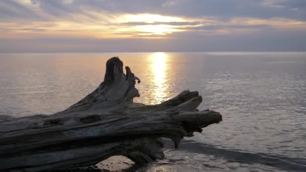 Όμορφη Λίμνη Sunset Σύνδεση Στην Ακτή — Αρχείο Βίντεο