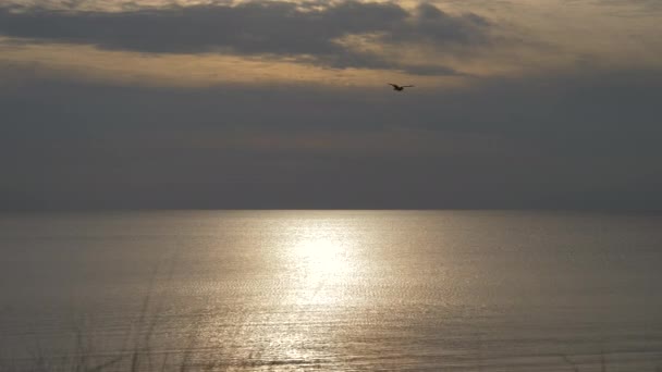 Prachtig Uitzicht Zonsondergang Aan Het Meer Bewolkte Hemel Bij Zonsondergang — Stockvideo