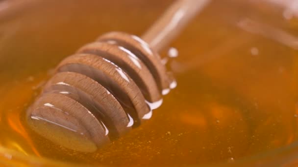 Honey Honey Dipper Rotating — Stock Video