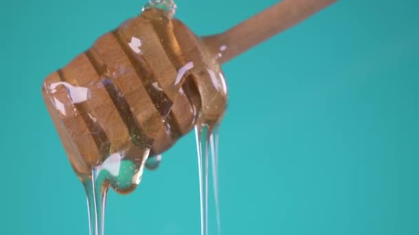 Close Honey Dripping Honey Dipper Turquoise Background — Stock Video