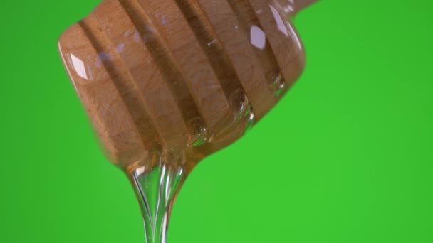 Honing Druipt Van Honey Dipper Groene Achtergrond — Stockvideo