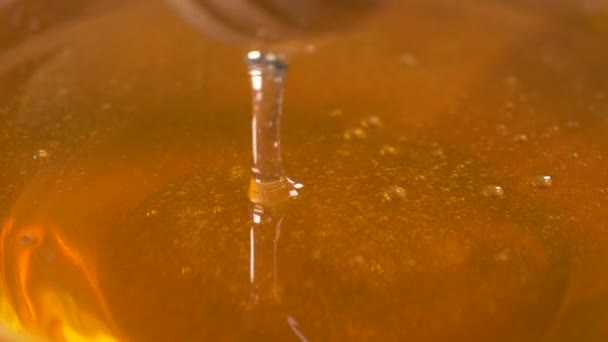 Close Honey Dripping — Stock Video