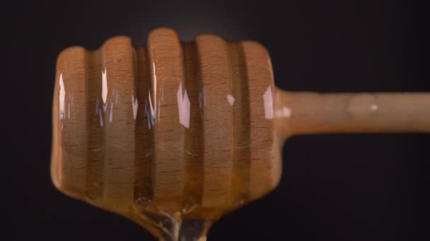 Close Honey Dripping Honey Dipper — Vídeo de Stock