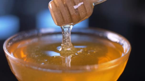 Close Honey Dripping Tigela Fundo Preto — Vídeo de Stock