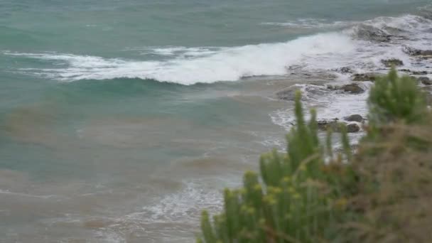 Ingrandisci Una Bellissima Spiaggia Panoramica Sulla Costa Meridionale Australia — Video Stock