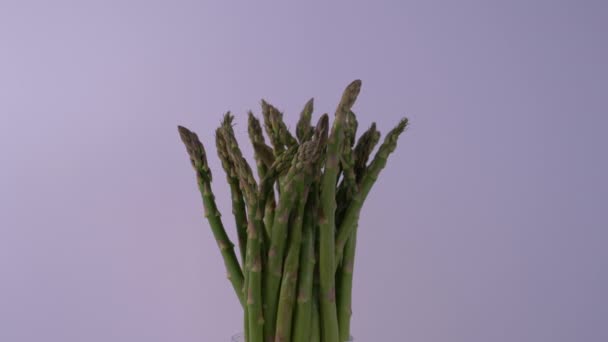 Asparagus Rotating Lavender Background — Stock Video