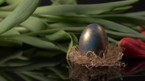 Kolorowe Jajko Wielkanocne Panning Czerwonych Tulipany Tle — Wideo stockowe