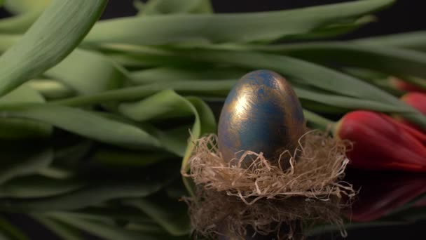 红郁金香背景下彩蛋排卵的特写 — 图库视频影像