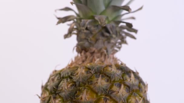 Close Zicht Ananas Panning — Stockvideo