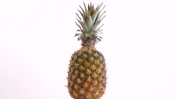 Shot Pineapple Περιστροφή Λευκό Φόντο — Αρχείο Βίντεο