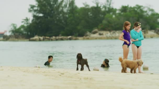 Anjing Siloso Beach Singapura — Stok Video