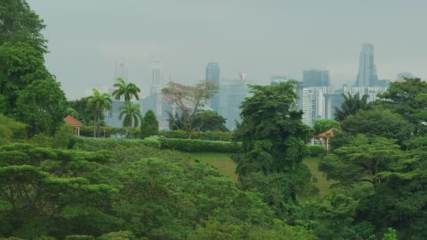 Önünde Tepe Olan Singapur — Stok video