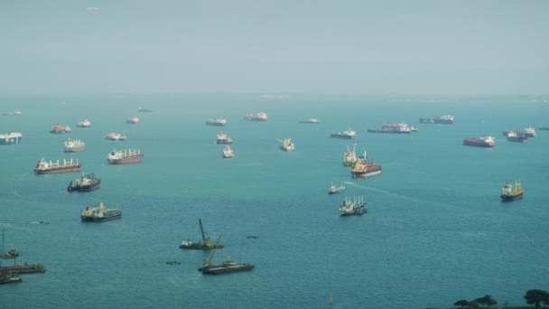 Uma Frota Navios Carga Estreito Singapura — Vídeo de Stock