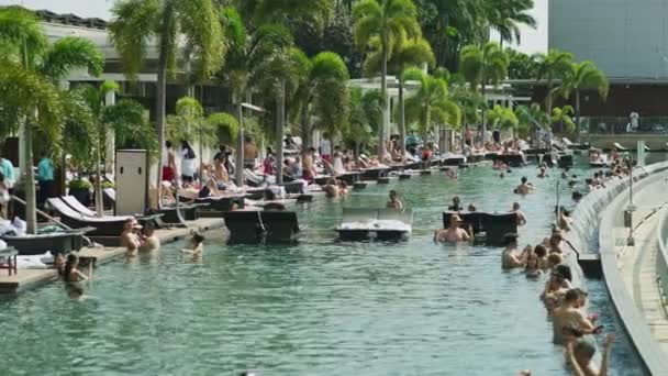 Infinity Pool Marina Bay Sands Hotel Singapore — Stock Video