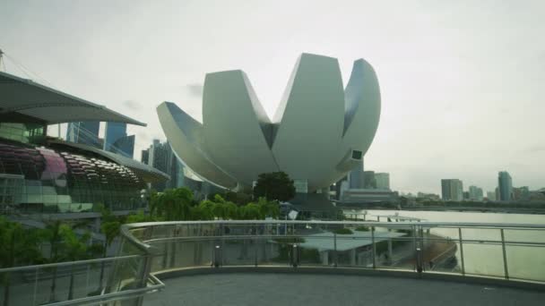 Artscience Museum Singapur — Stockvideo