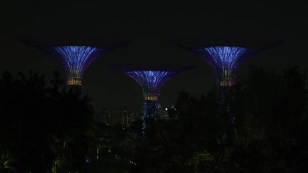 Belysta Superträd Singapore — Stockvideo