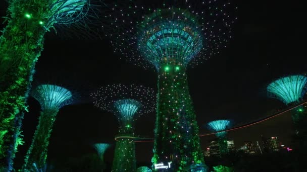 Gardens Bay Supertrees Night — Stock video