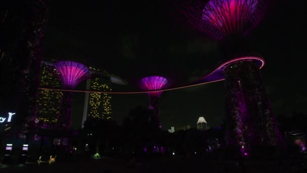 Colorful Light Show Supertrees — Stok video