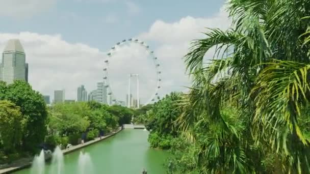 Singapore Flyer Seen Gardens Bay — 图库视频影像