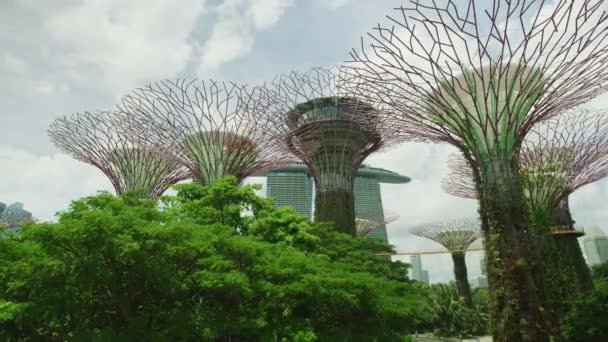 Footage Supertrees Singapore — Wideo stockowe