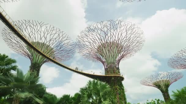 Gardens Bay Supertrees Singapore — Vídeo de Stock