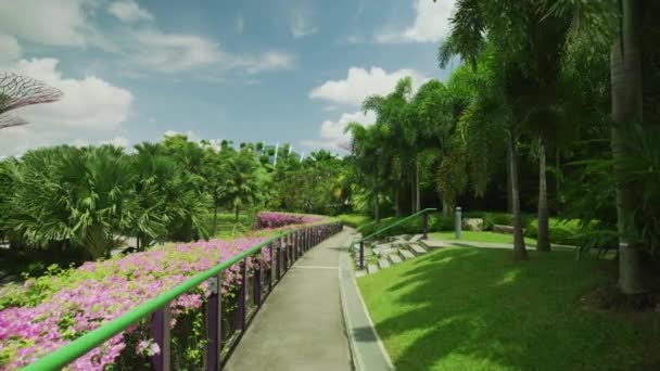 Alley Gardens Bay Singapore — Wideo stockowe