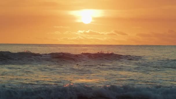 Nadar Oceano Durante Hora Ouro — Vídeo de Stock