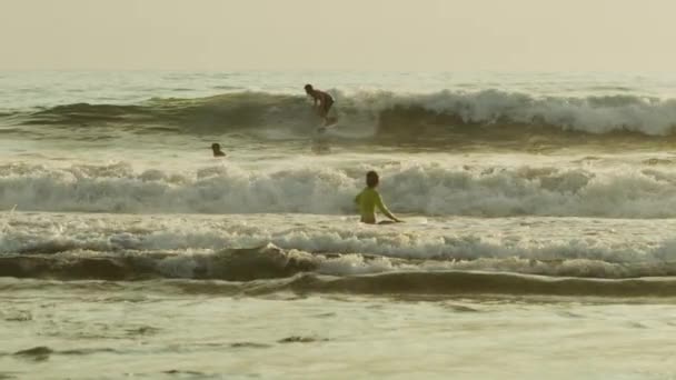 Surfista Cattura Onda — Video Stock