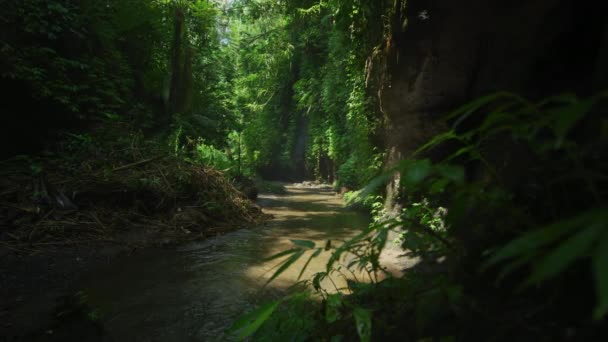 Corriente Fuera Del Cañón Tukad Cepung Cascada — Vídeos de Stock