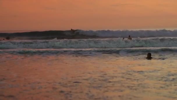 Surfista Apanhar Uma Onda — Vídeo de Stock