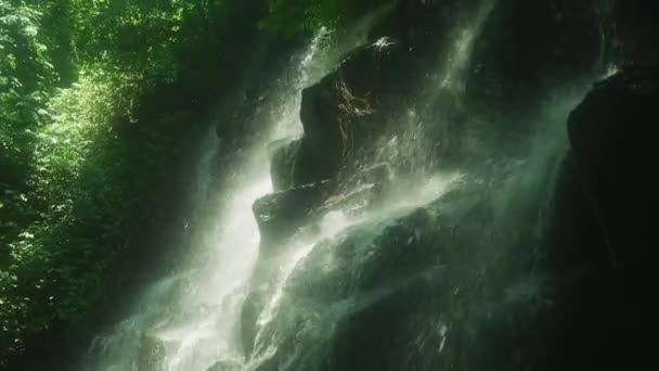 Air Terjun Tukad Cawan Bali — Stok Video