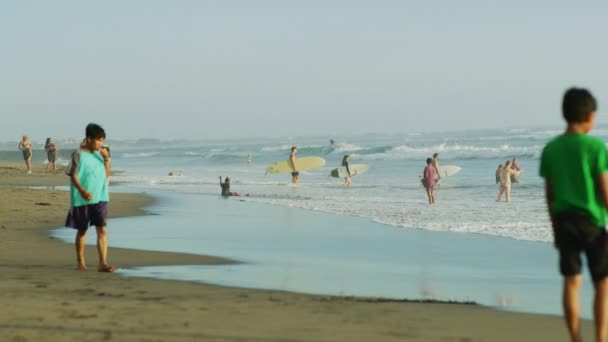 Surferzy Zmierzający Stronę Oceanu — Wideo stockowe