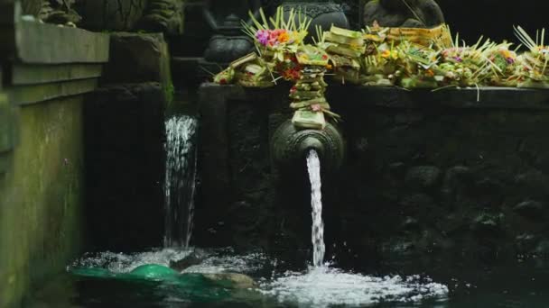 Mannen Som Badar Tirta Empul — Stockvideo