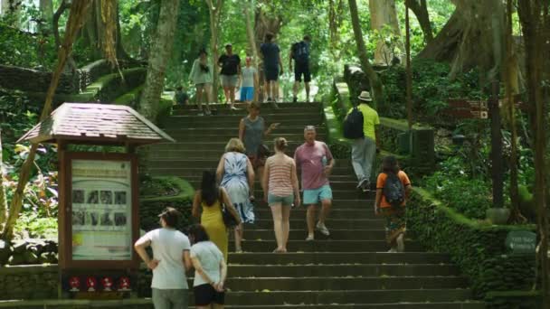 Visitantes Floresta Dos Macacos Sagrados — Vídeo de Stock