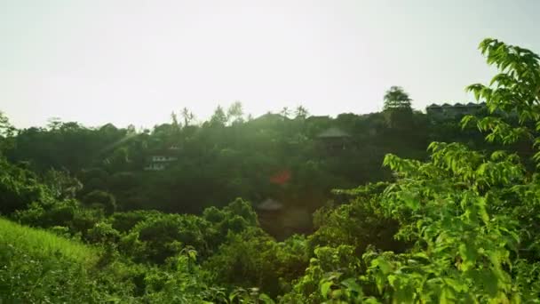 Hus Vid Campuhan Ridge Walk Bali — Stockvideo