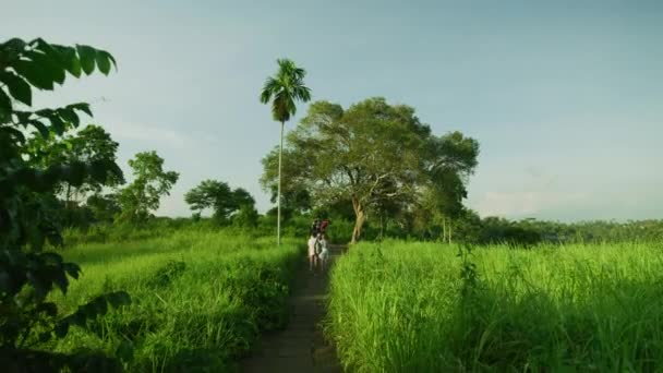 Visitatori Campuhan Ridge Walk Bali — Video Stock