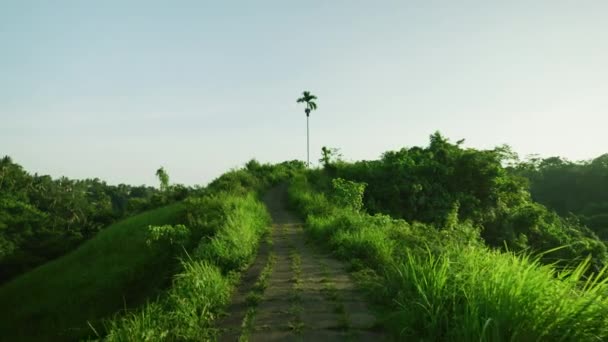 Sentiero Escursionistico Campuhan Ridge Walk Bali — Video Stock