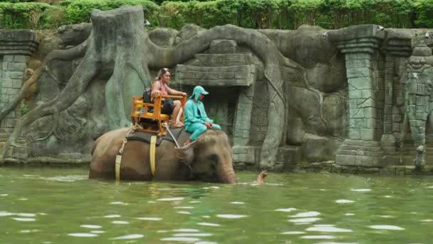 Elefantridning Bali Zoo — Stockvideo