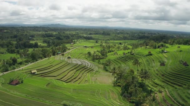 Вид Воздуха Террасы Джатилуви Райс Бали — стоковое видео