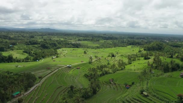 Panoramisch Uitzicht Bali — Stockvideo