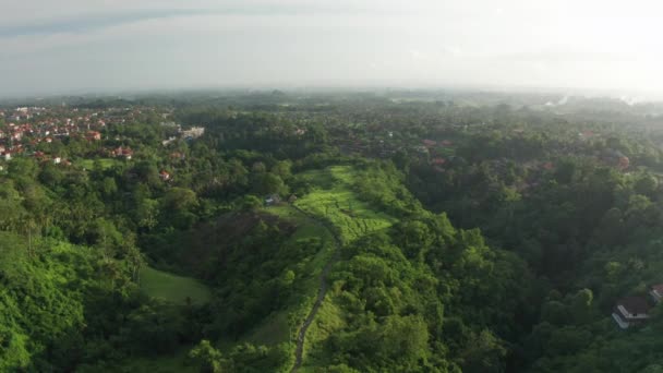 Vista Panoramica Bali Con Campuhan Ridge Walk — Video Stock