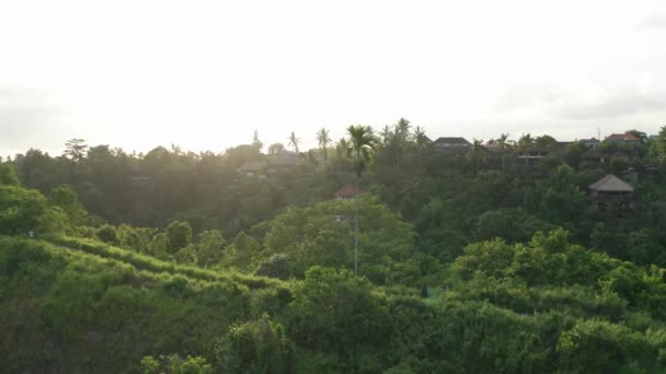Vista Serale Campuhan Ridge Walk Bali — Video Stock