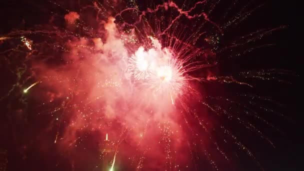 Feuerwerk Den Niagarafällen Bei Nacht — Stockvideo