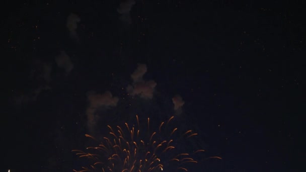 Πυροτεχνήματα Στο Νυχτερινό Ουρανό — Αρχείο Βίντεο