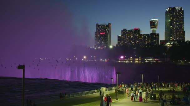Ljusshow Niagarafallen Natten — Stockvideo