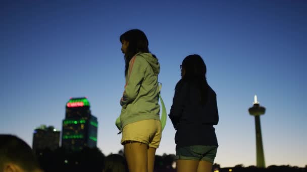 Dua Gadis Mengunjungi Air Terjun Niagara — Stok Video